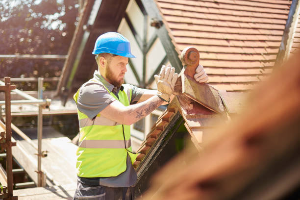 Best Metal Roofing Contractor  in Winfield, IA