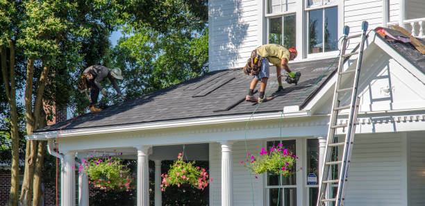 Best Roof Gutter Cleaning  in Winfield, IA